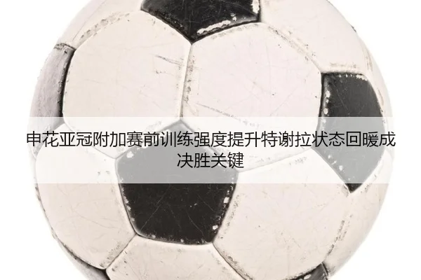 申花亚冠附加赛前训练强度提升特谢拉状态回暖成决胜关键